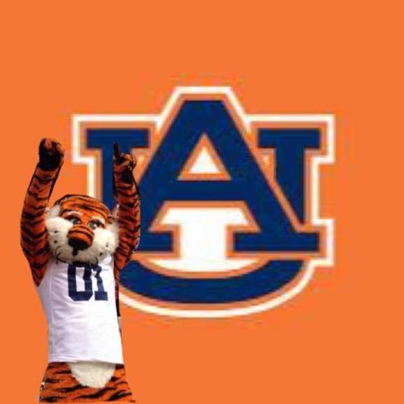 Meet your Posher, Missy - Picture 1 of 1